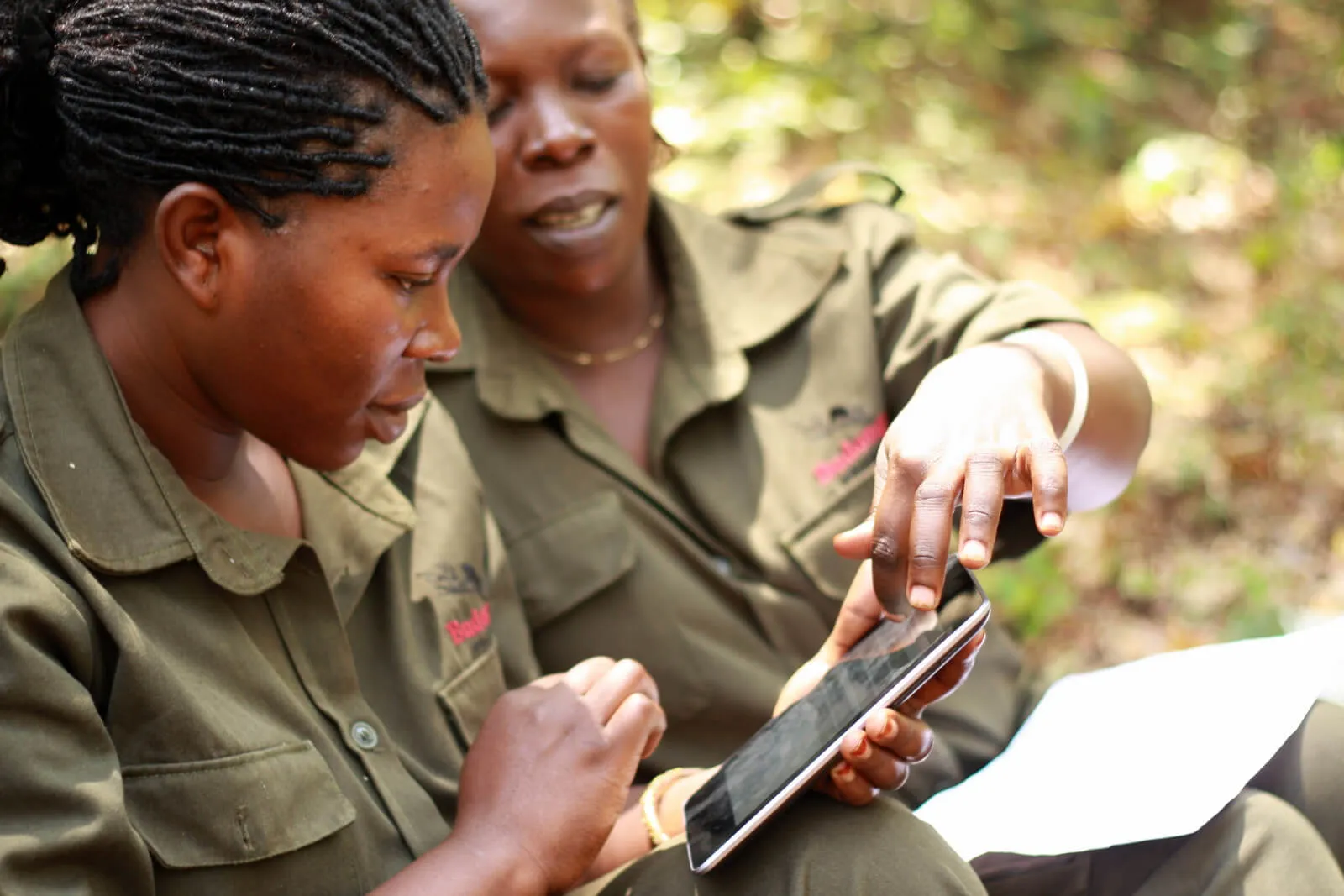Jane Goodall Institute approached us to build their first mobile app, to build something with a lasting impact on communities suffering from deforestation.