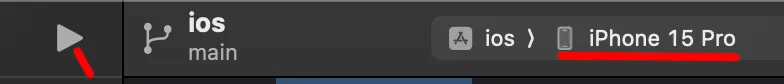 Xcode Run screenshot